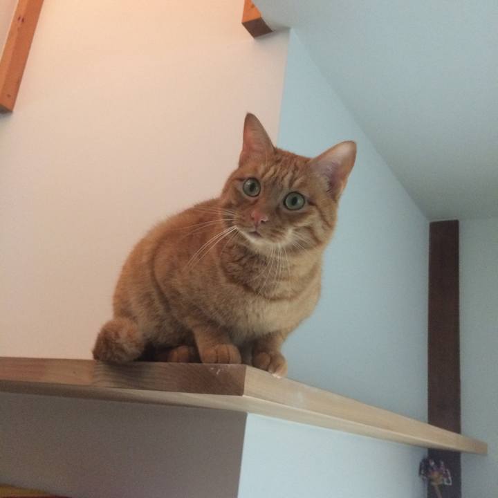 434bbb4e 11dd 4b74 9510 c71581fce0cd