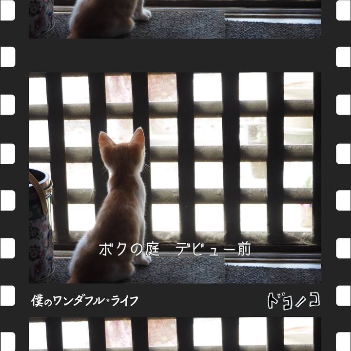 434be0bd 913a 415e b4bf 9650df22ee5c