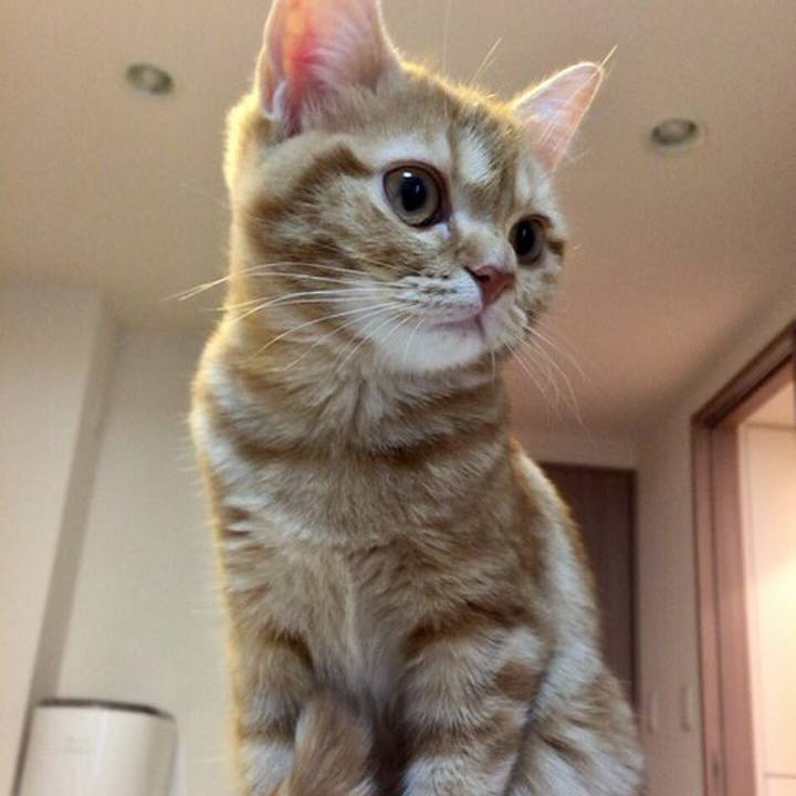 434c8b37 7e51 48ed 8e18 9be792207474