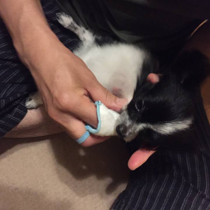 434d08d8 131a 4f6d a381 5699073ba5bf