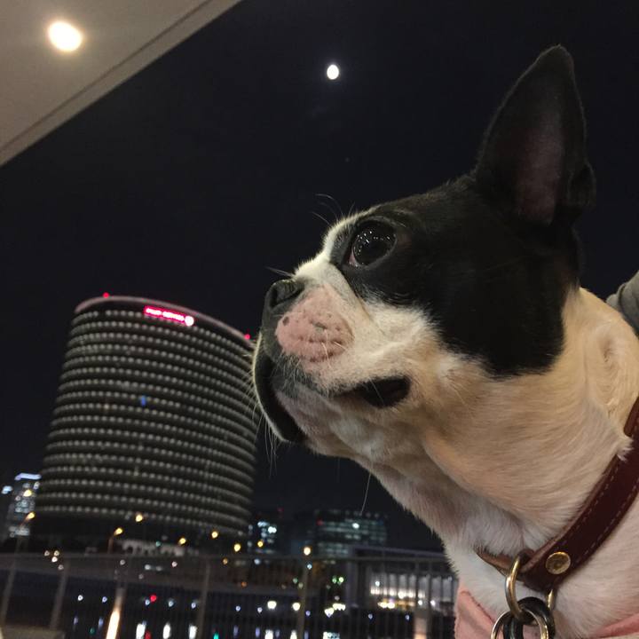 434d2f9d af3d 4b43 a5c3 66c8dee48b8a