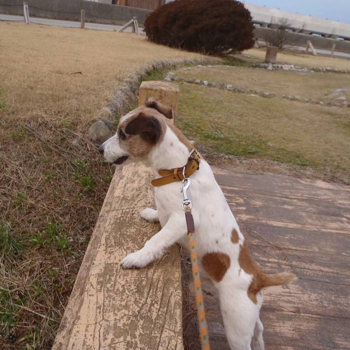 434e9204 74a1 49da adf0 6ac0345d344e