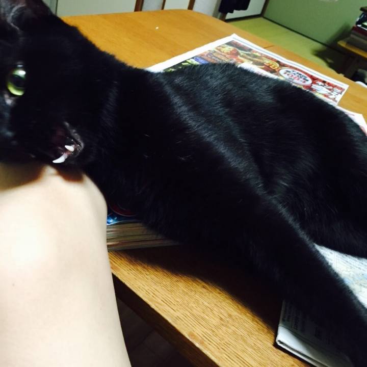 434ea373 464a 4c65 a0fd 43c87de10055