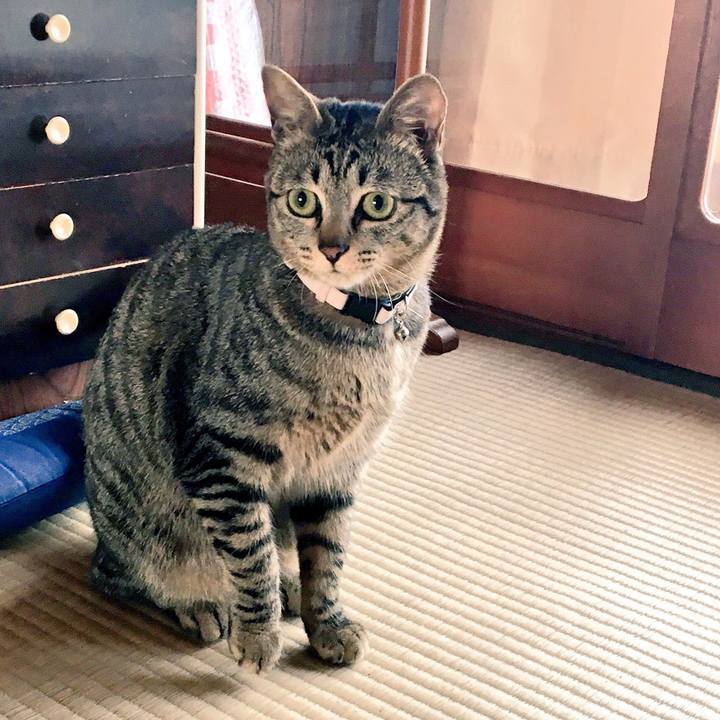 434f0127 ba30 4544 915f 966f1b0e0f9d