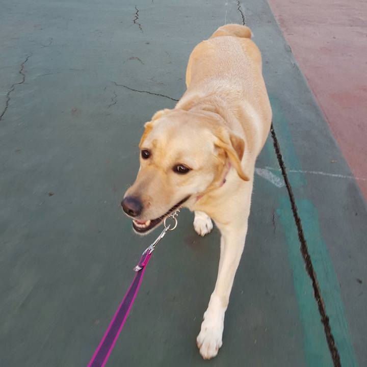 434f8270 d7ec 48cc 8ebe f351eb9dfc45