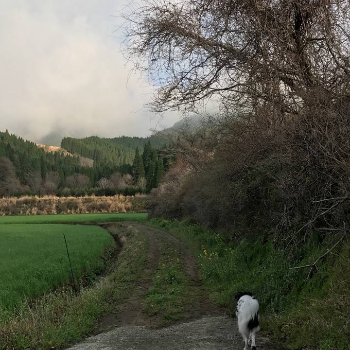 434f903d e3d8 4f29 915f a8ce203a619a