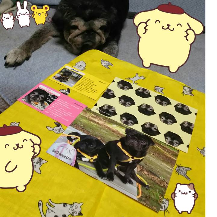 434fdb1f 5280 4749 837b c092d78be9d5