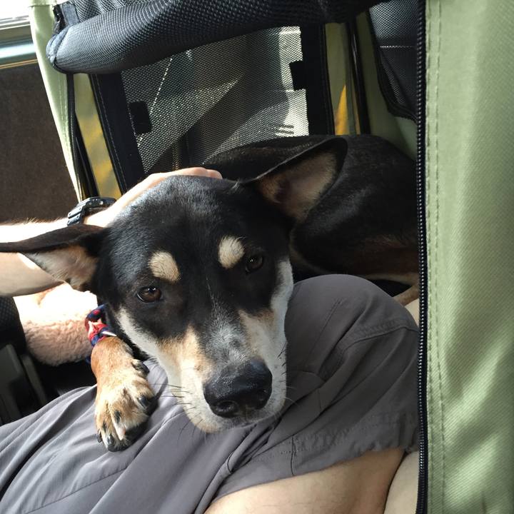 43508c0d 0919 4d33 87da efead3f09098