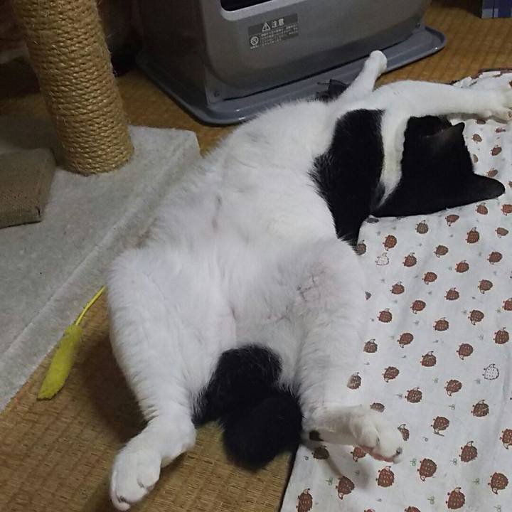 4350b147 b2ab 4622 87a8 dfd0ea3e010e