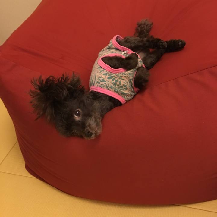 4351753b 80f7 4aba a789 cf46b1612ade