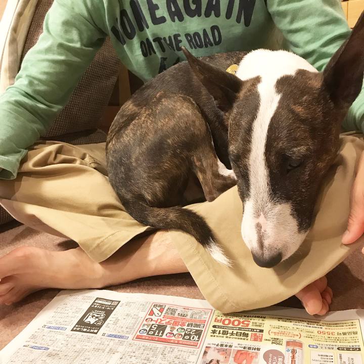 4351d165 8f36 4b96 a32e 4d6b8ee0d68d