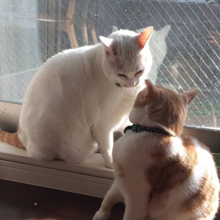 4351e077 e95a 4aa6 9f55 dccd2b020e96