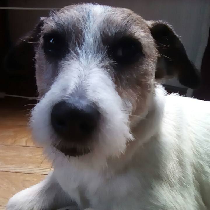 4352e006 7d24 4278 a080 ecc63ab6b91f