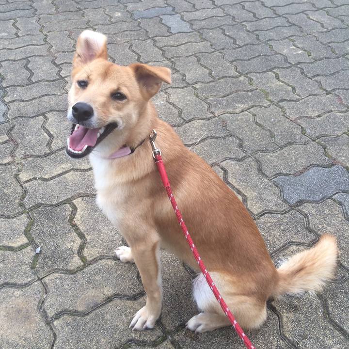 4353a6ec 4bf9 4f7f 9c96 5c62363afad7