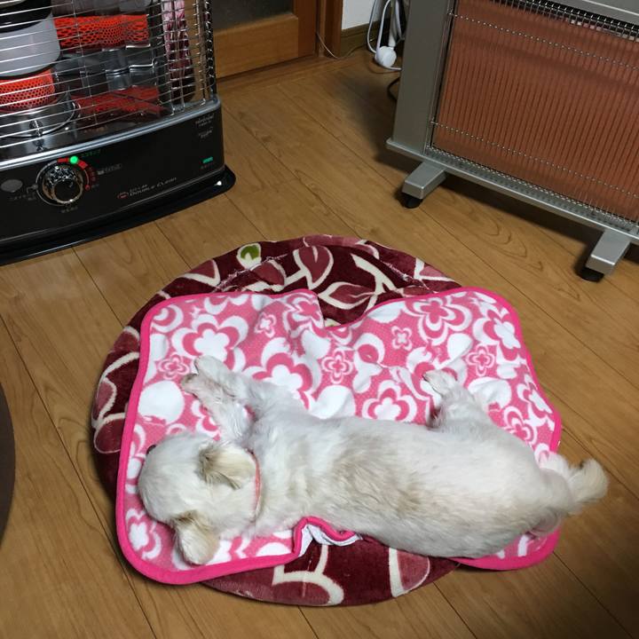 4353aa95 c96e 41a0 b0df f8ade0501e93