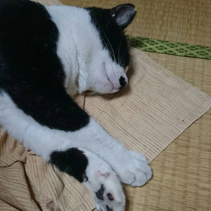 4353d8a5 ff4b 4f33 b853 d77b11e41b01