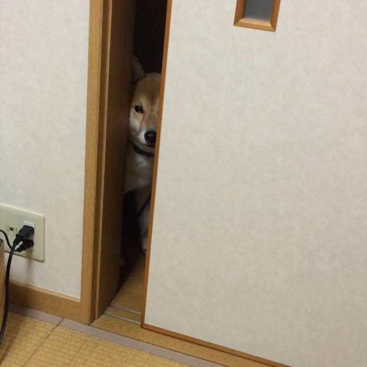 43542e29 a6ca 4980 8370 31f62373d2fb