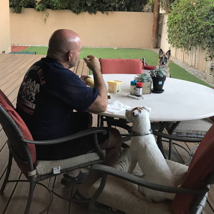 4354c686 ba28 4dc5 ba36 205dbfb99a20