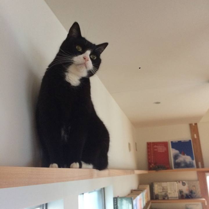 4354ea98 2840 4408 a774 69955e70bb76