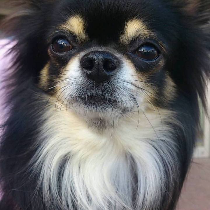 43553052 cf00 472c 8ed4 0b3068b2af6e