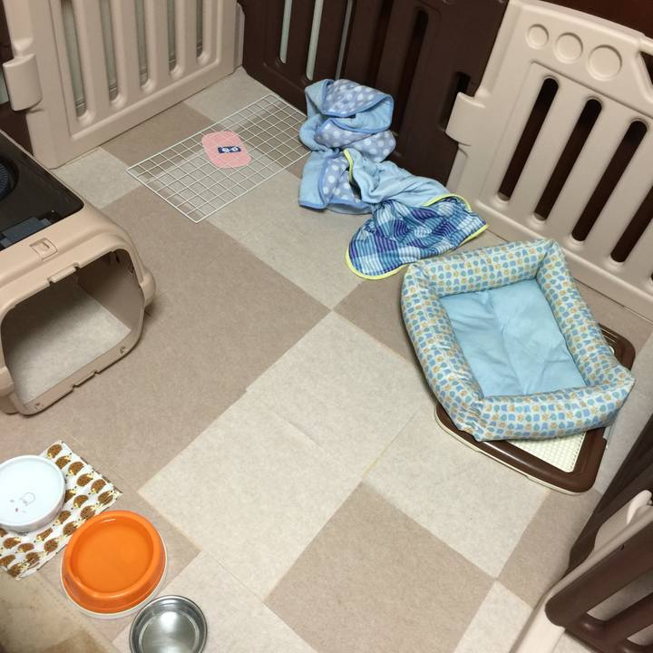 43554dac 99a9 43d2 8598 cc69f68697bb