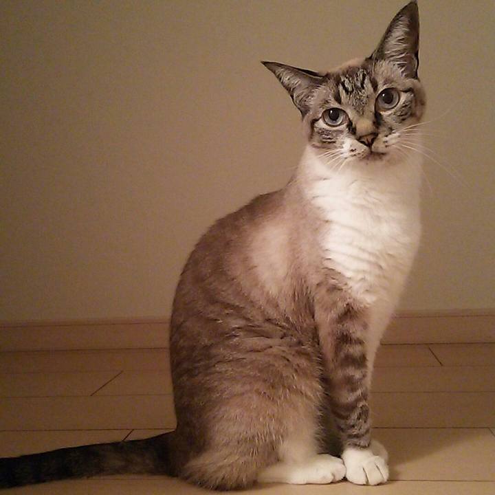 4356085c a151 4200 a7ef a07b6e7b7e07