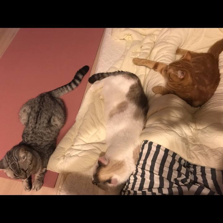 4356e031 6ec9 46af af8d 88e58e70100a