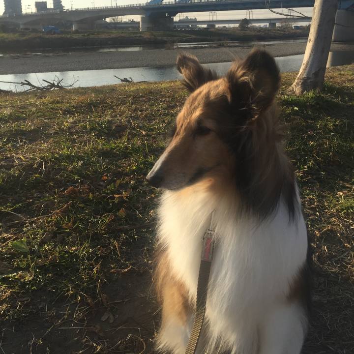 43570b4f 517f 4eb4 a92f 529adbc7d600