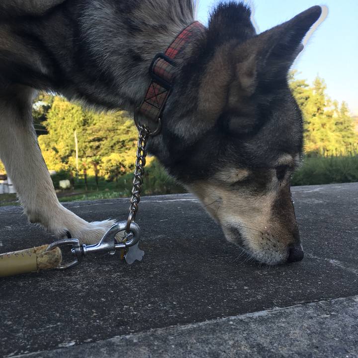 4358d99e 9ad3 467b bc49 35aa34eeba5a