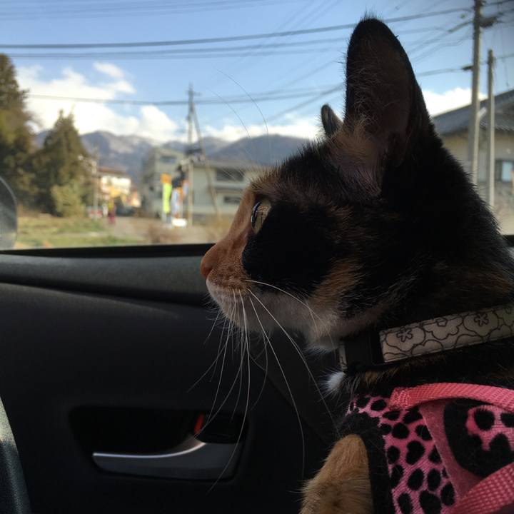 4359382d 2dcf 47ed 8f1d 2b40b1bc5755