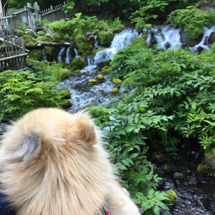 435968d2 dded 41bc 9e20 bd592c8eee59