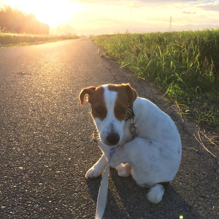 43599775 b467 4289 87c2 f23d20f40a88