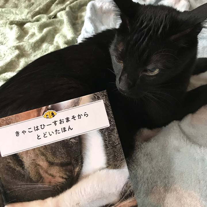 4359e37c 0bcd 44ee 9d0f 81f0ccf7f3e6