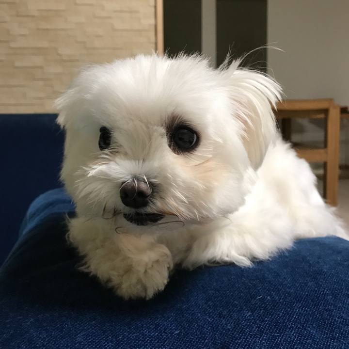 435a1c5b eb35 47fe 97a5 037d67ea1407