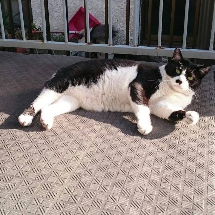 435a4bec 9490 403d bf2d 785b9a0c728b