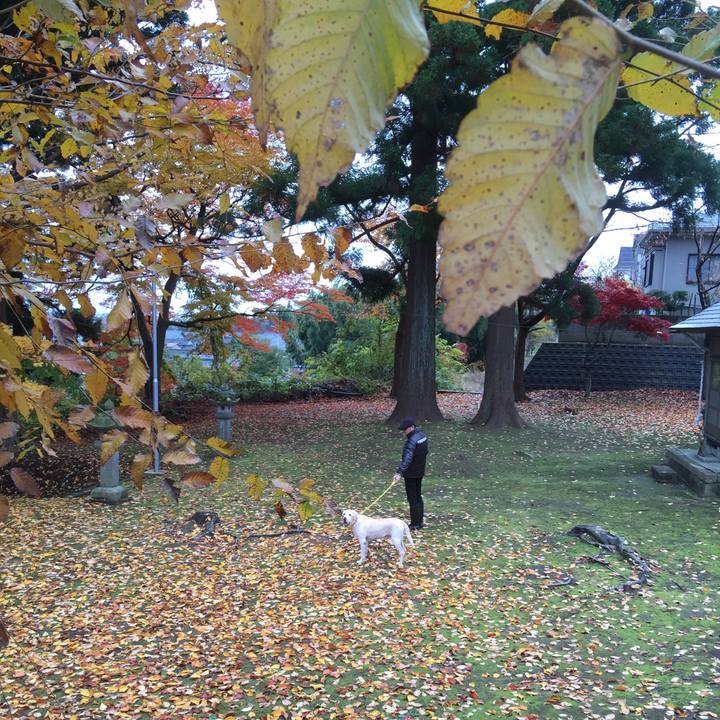 435a531b e292 4568 8686 b6efb42b6485