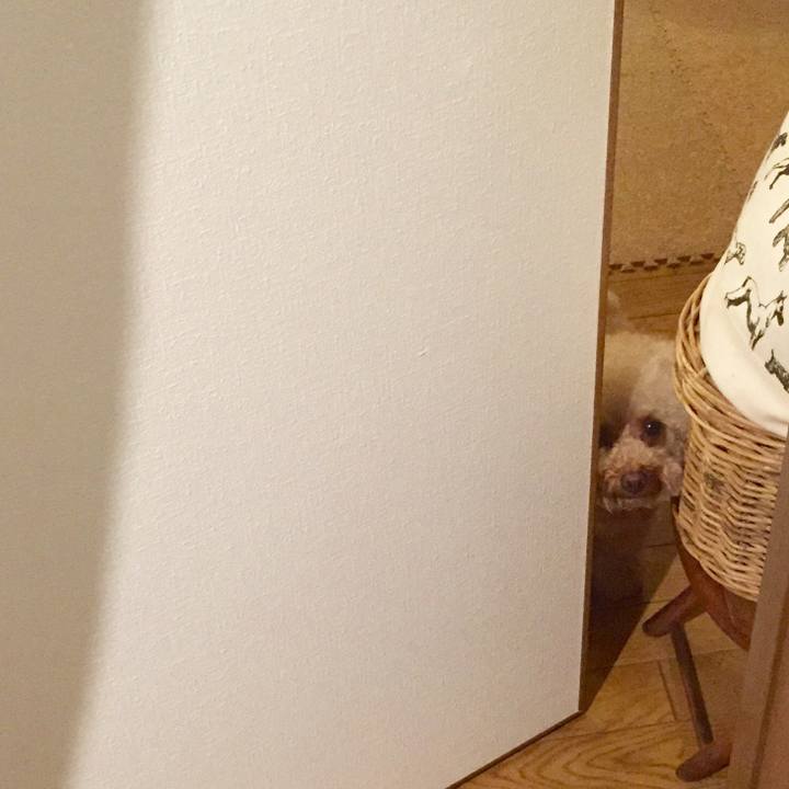 435b18c7 f268 414d 9ffd bdf767cbd253