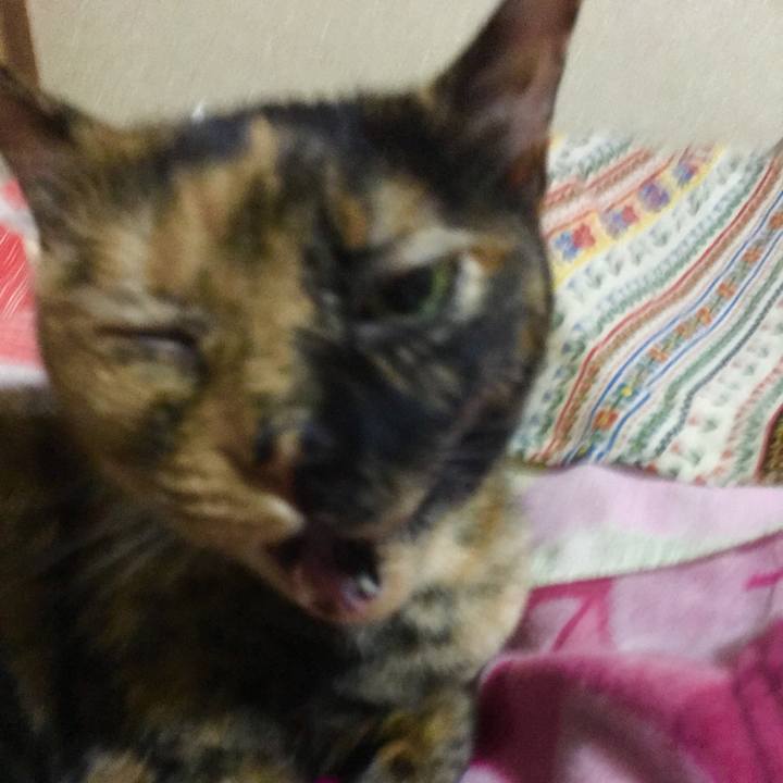 435b332b 75fc 48a2 a2fe f13fd8f92b4e