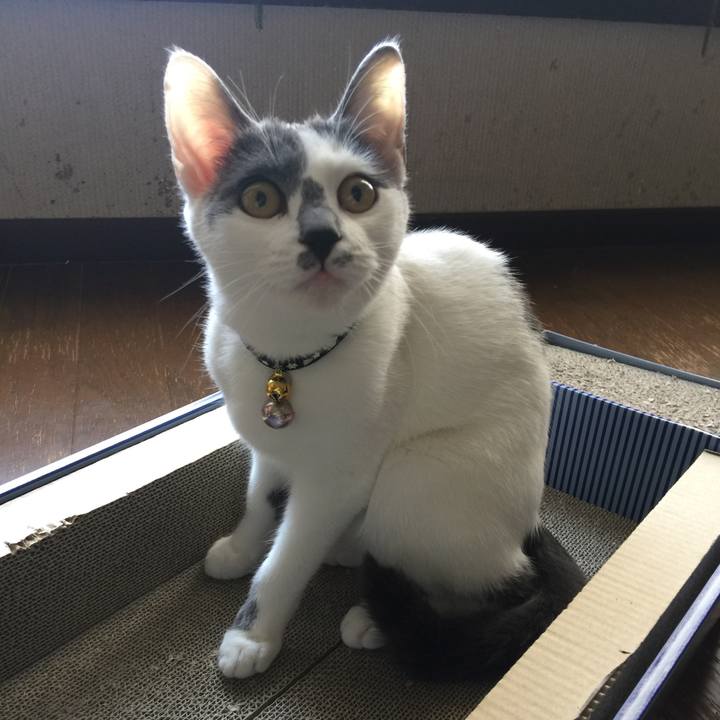 435bb356 6ec2 4c1d b762 735a5b6631b7