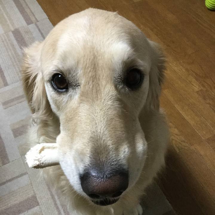 435be491 dd7a 4f8b b1e0 434e72fc476f