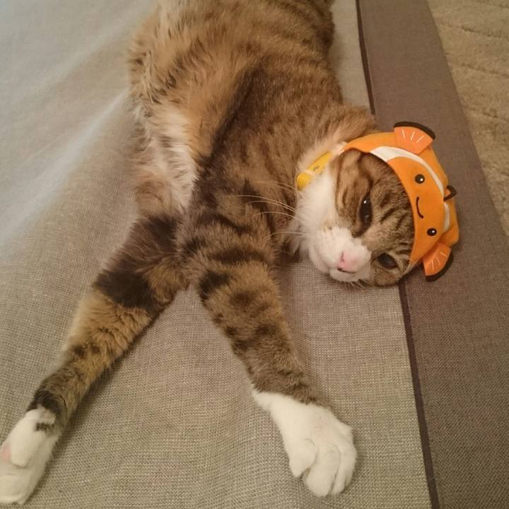 435c61c1 4af9 47d3 b741 85f8eb5e6e09