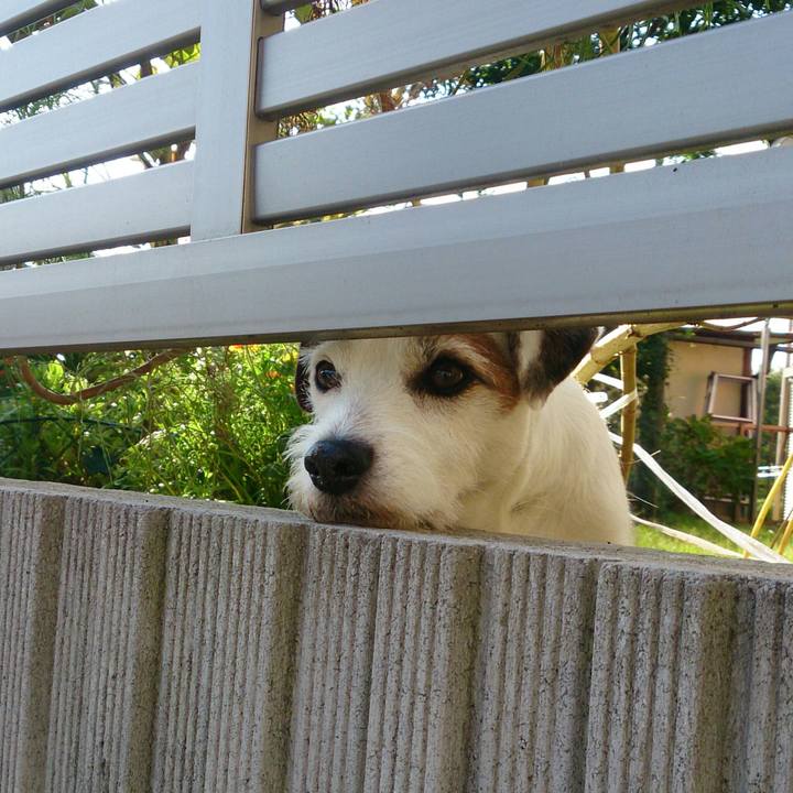 435d3777 62a0 4dbd b0d9 a696ce51e45f