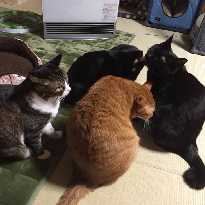 435d76db 1412 42ba 96ff 64f83b1bd532