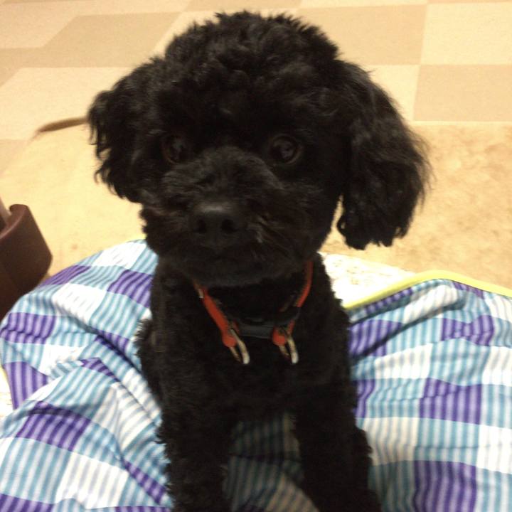 435d7f60 44b2 4315 a006 e43ce40feb87