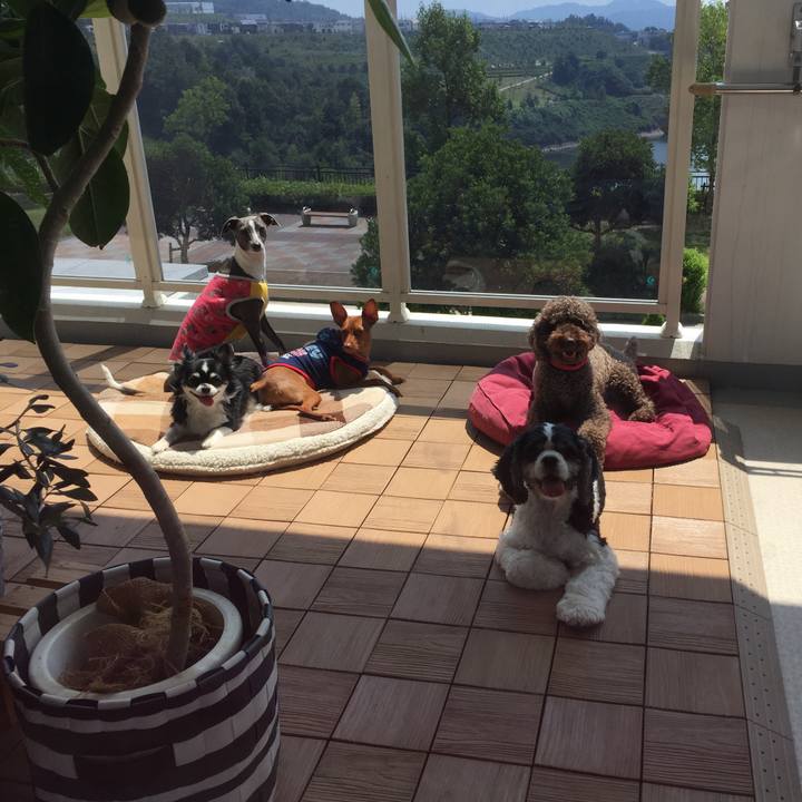 435d9dbc 21fb 4a0b 9ef9 428fc926e59a