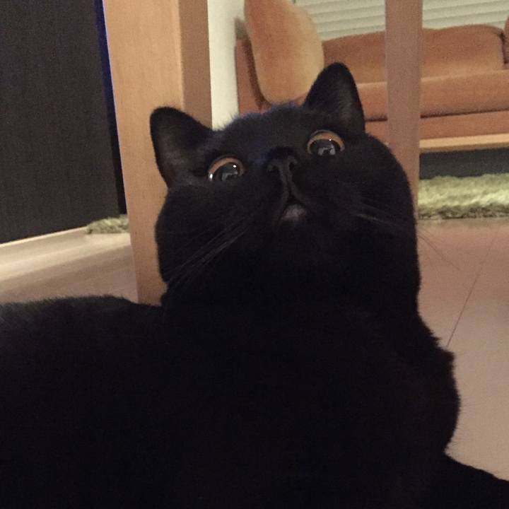 435ec2f3 9f2e 4dbd 968b 158420e44490