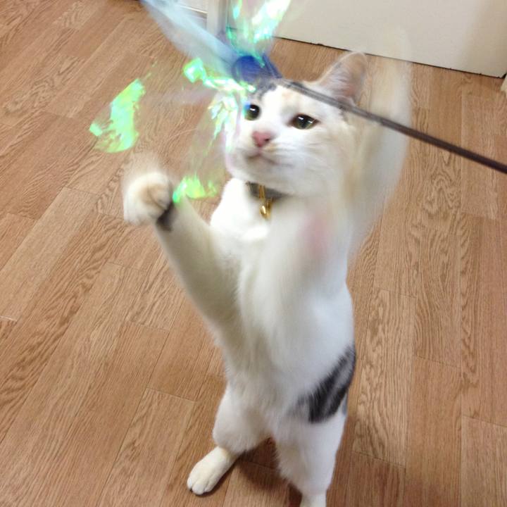 435ed12c 6965 49e4 aa98 90e5ca9e1fc6