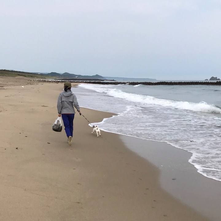 435f4045 b475 4faf b8f5 76084d4e3ae0