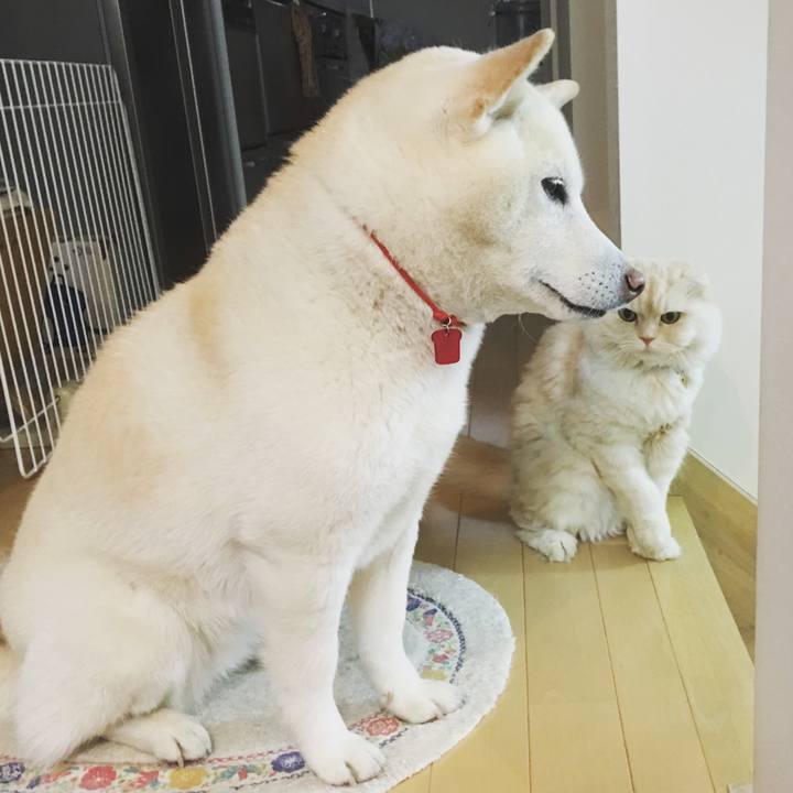 4360096e 1631 43f3 b9c0 d148bc315c09