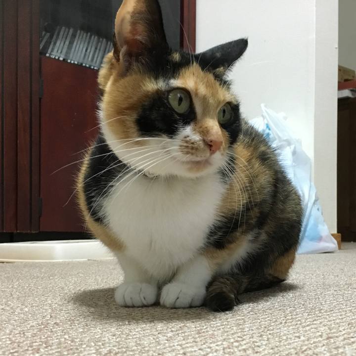 436063e7 1f81 4a1c b51b f376ac571b08